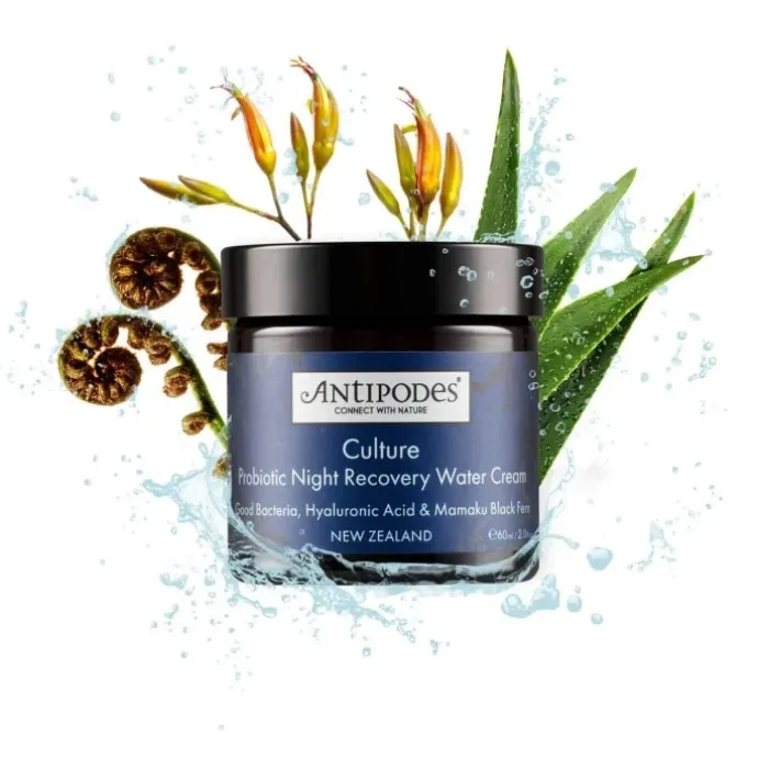 AntipodesCulture Gel Crème de Nuit Réparateur aux probiotiques