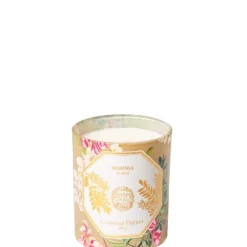 Carrière FrèresAcacia - Robinia Bougie Parfumée