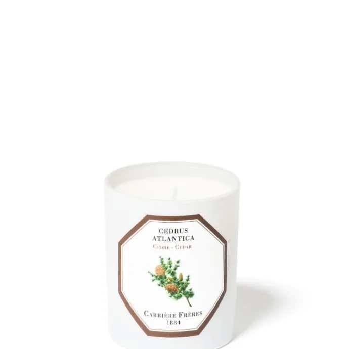 Carrière FrèresCèdre - Cedrus Atlantica Bougie Parfumée