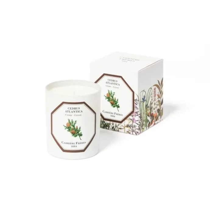 Carrière FrèresCèdre - Cedrus Atlantica Bougie Parfumée