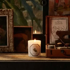 Carrière FrèresCèdre - Cedrus Atlantica Bougie Parfumée
