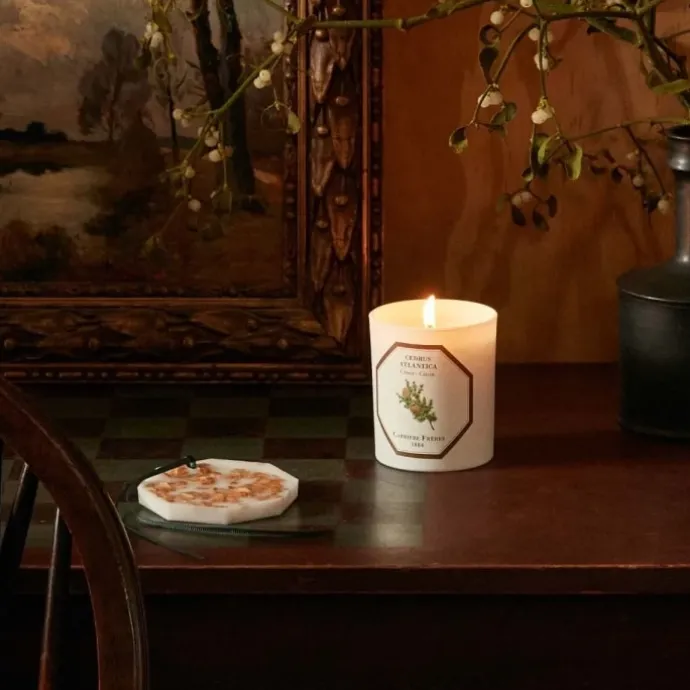Carrière FrèresCèdre - Cedrus Atlantica Bougie Parfumée