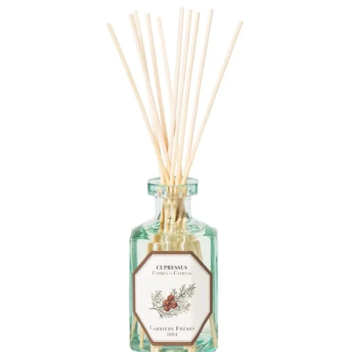 Carrière FrèresCyprès - Cupressus Diffuseur de Parfum