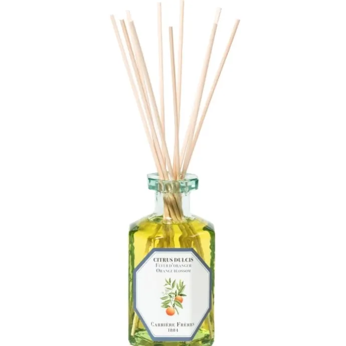 Carrière FrèresFleur d'Oranger Citrus Dulcis Diffuseur