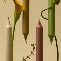 Carrière FrèresFruits Chandelle Parfumée