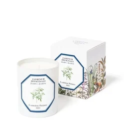 Carrière FrèresJasmin - Jasminum Officinale                Bougie Parfumée