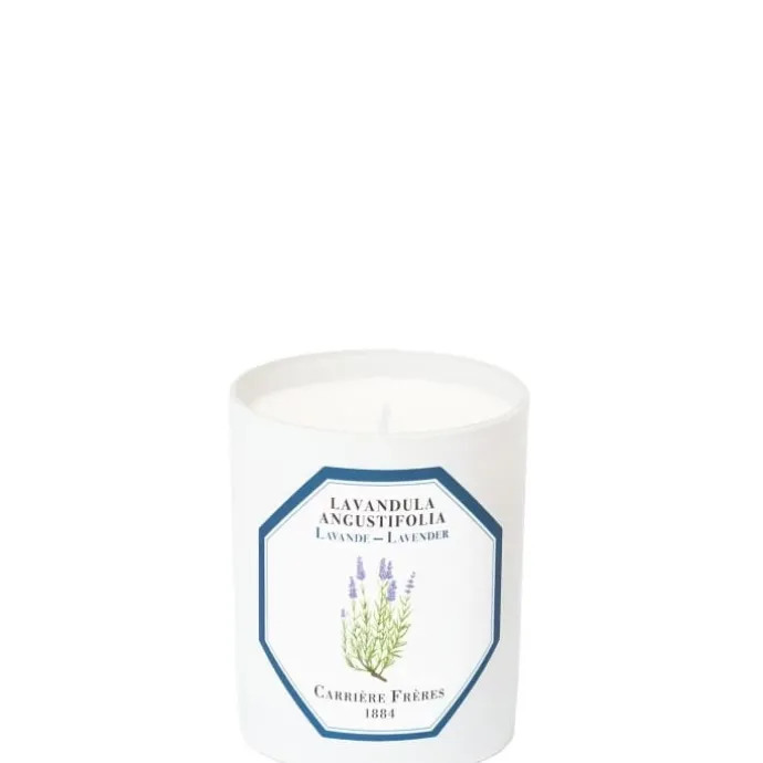 Carrière FrèresLavande - Lavandula Angustifolia Bougie Parfumée