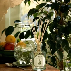 Carrière FrèresMenthe Verte - Mentha Spicata Diffuseur de Parfum