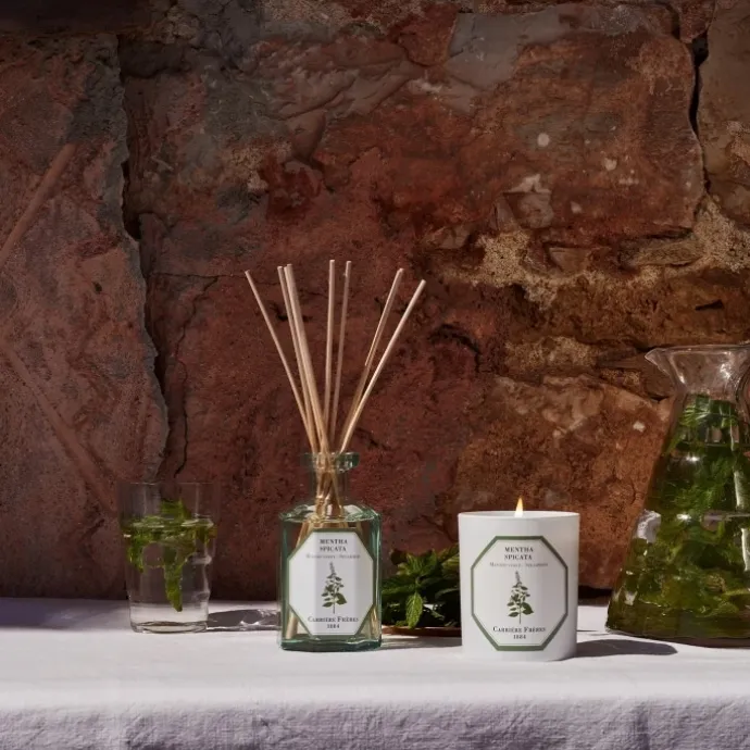 Carrière FrèresMenthe Verte - Mentha Spicata Diffuseur de Parfum