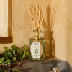 Carrière FrèresMenthe Verte - Mentha Spicata Diffuseur de Parfum
