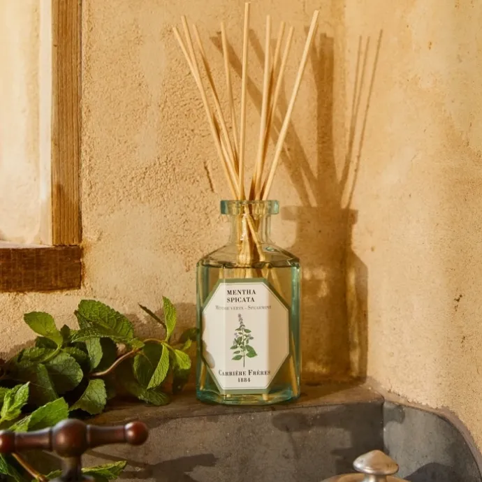 Carrière FrèresMenthe Verte - Mentha Spicata Diffuseur de Parfum