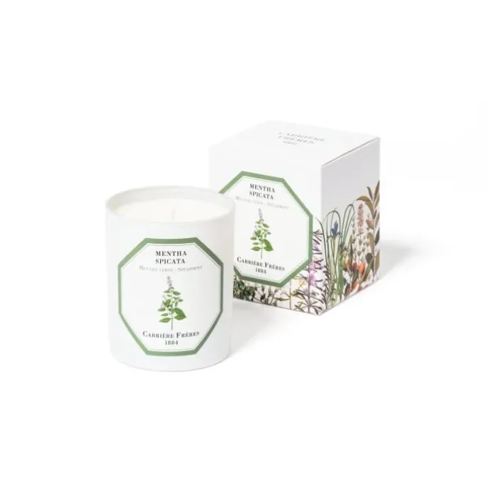 Carrière FrèresMenthe Verte - Mentha Spicata Bougie Parfumée
