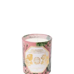 Carrière FrèresPelargonium Odoratissimum - Géranium Bougie Parfumée
