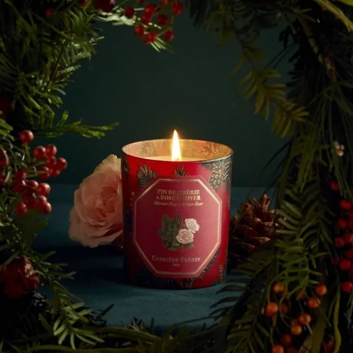 Carrière FrèresPin de Sibérie & Rose d’Hiver Bougie parfumée