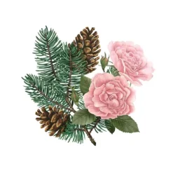 Carrière FrèresPin de Sibérie & Rose d'Hiver Palet Botanique