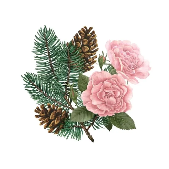 Carrière FrèresPin de Sibérie & Rose d'Hiver Palet Botanique