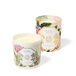 Carrière FrèresPlumeria - Frangipanier                Recharge Bougie Parfumée
