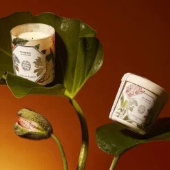 Carrière FrèresPlumeria - Frangipanier                Recharge Bougie Parfumée