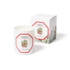 Carrière FrèresPoivre du Sichuan - Zanthoxylum Piperitum                Bougie Parfumée