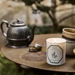 Carrière FrèresThé - Camelia Sinensis Bougie Parfumée