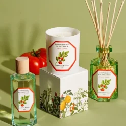Carrière FrèresTomate - Lycopersicon Esculentum                Diffuseur de Parfum