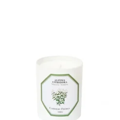 Carrière FrèresVerveine - Aloysia Citrodora Bougie Parfumée