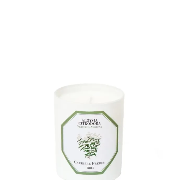 Carrière FrèresVerveine - Aloysia Citrodora Bougie Parfumée