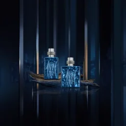 Cerruti 1881 Silver Night Eau de Parfum