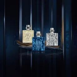 Cerruti 1881 Silver Night Eau de Parfum