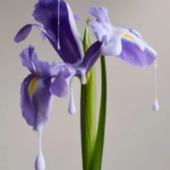 Christophe RobinDémêlant Nuanceur de Couleur A l'Iris Florentina