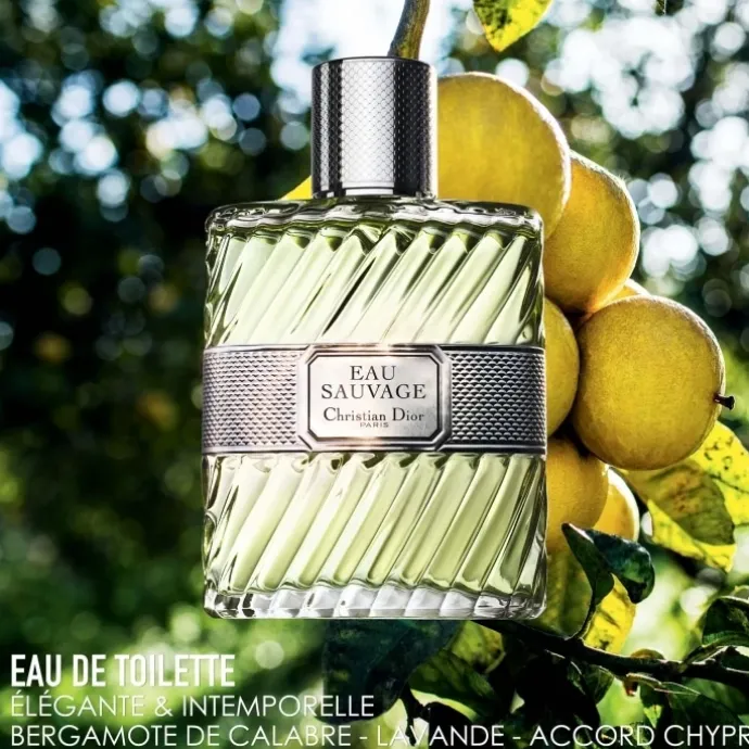 DIOREau Sauvage Eau de Toilette