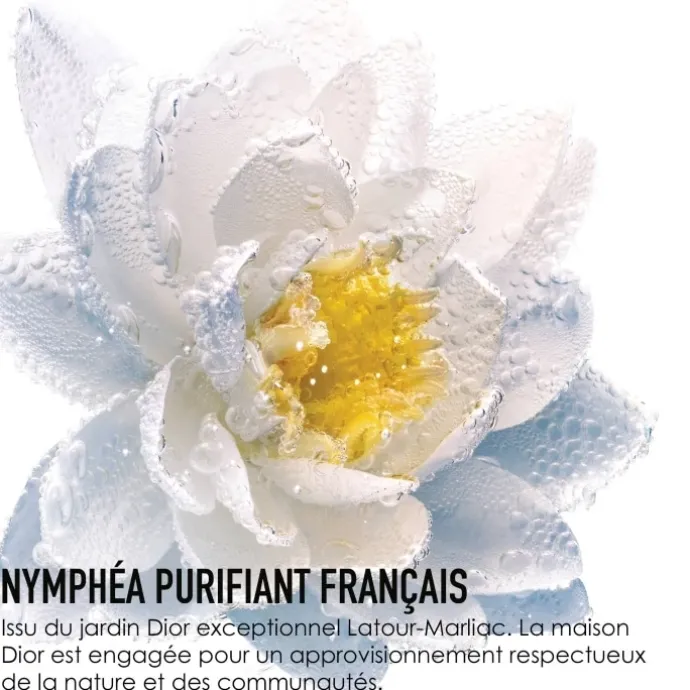 DIORLe Démaquillage au Nymphéa Le Lait Démaquillant Visage et Yeux - Lait Micellaire Purifiant