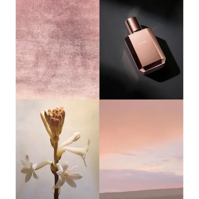 ElisireÉrose Extrait de Parfum