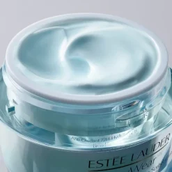 ESTEE LAUDERDayWear Crème Hydratation 24h Multi-Protection Anti-Oxydant SPF 15 Pour Peaux Normales/Mixtes