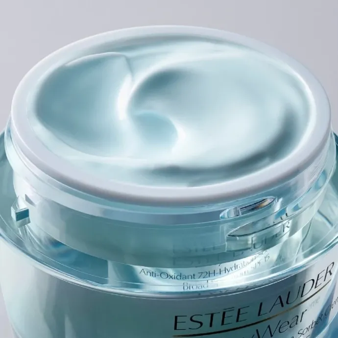 ESTEE LAUDERDayWear Crème Hydratation 24h Multi-Protection Anti-Oxydant SPF 15 Pour Peaux Normales/Mixtes