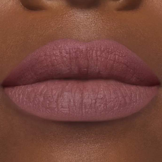 ESTEE LAUDERPure Color Rouge à Lèvres Mat