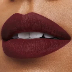 ESTEE LAUDERPure Color Rouge à Lèvres Mat
