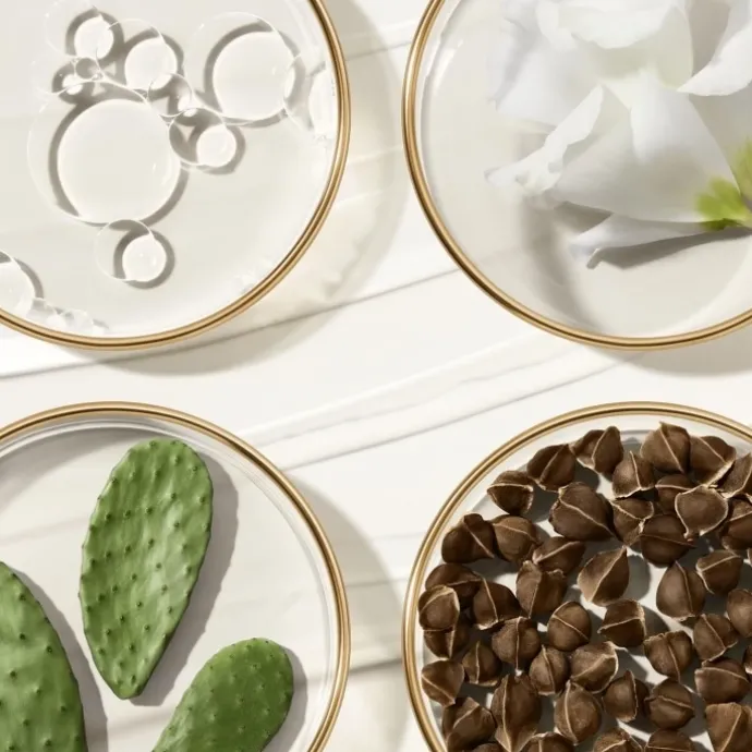 ESTEE LAUDERRevitalizing Supreme+ Crème Délicate Révélatrice de Jeunesse