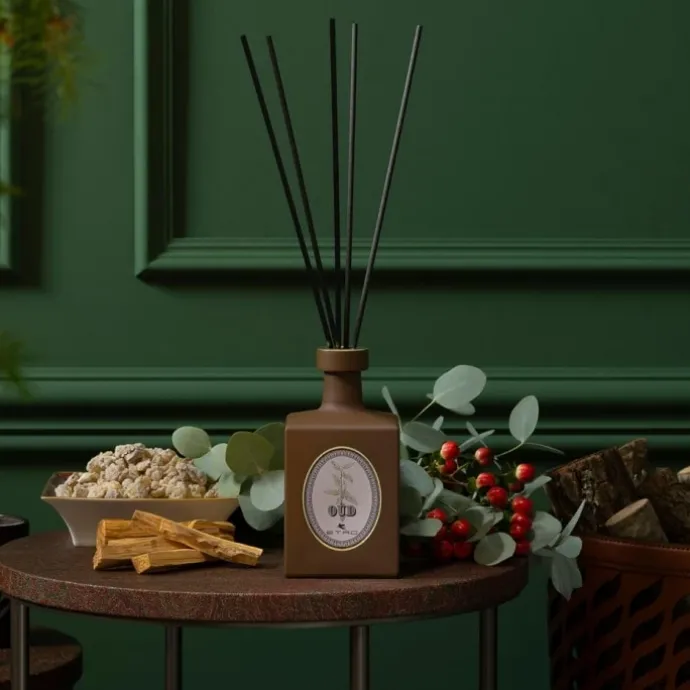 EtroOud Coffret Diffuseur d'Ambiance
