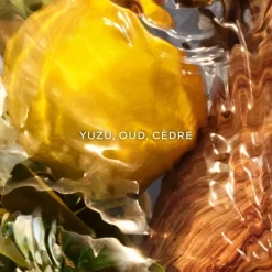 GUERLAINAqua Allegoria Forte Oud Yuzu                Eau de Parfum - Flacon Recharge