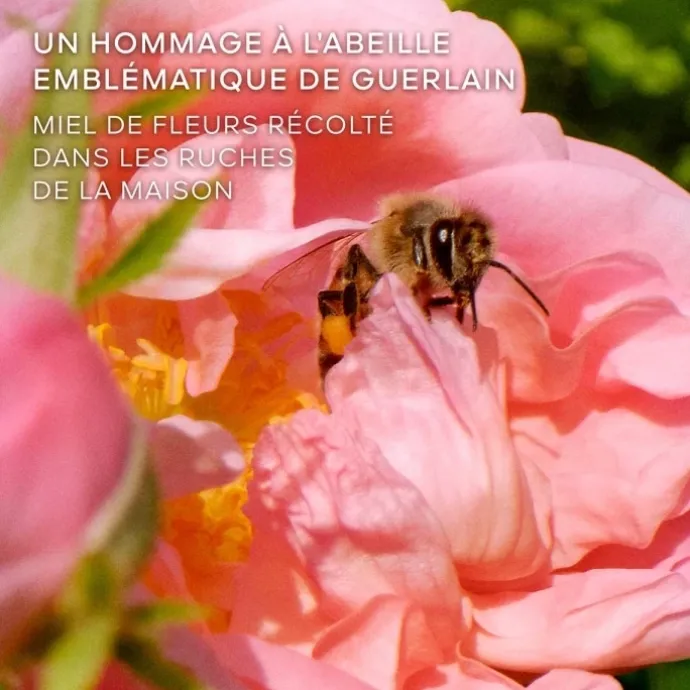 GUERLAINLa Petite Robe Noire Honey Rose Eau de Parfum