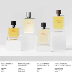 HERMÈSTerre d'Hermès Eau Givrée Recharge Parfum