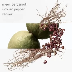 HERMÈSTerre d'Hermès                 Eau Intense Vétiver - Eau de Parfum
