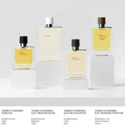 HERMÈSTerre d'Hermès                 Eau Intense Vétiver - Eau de Parfum