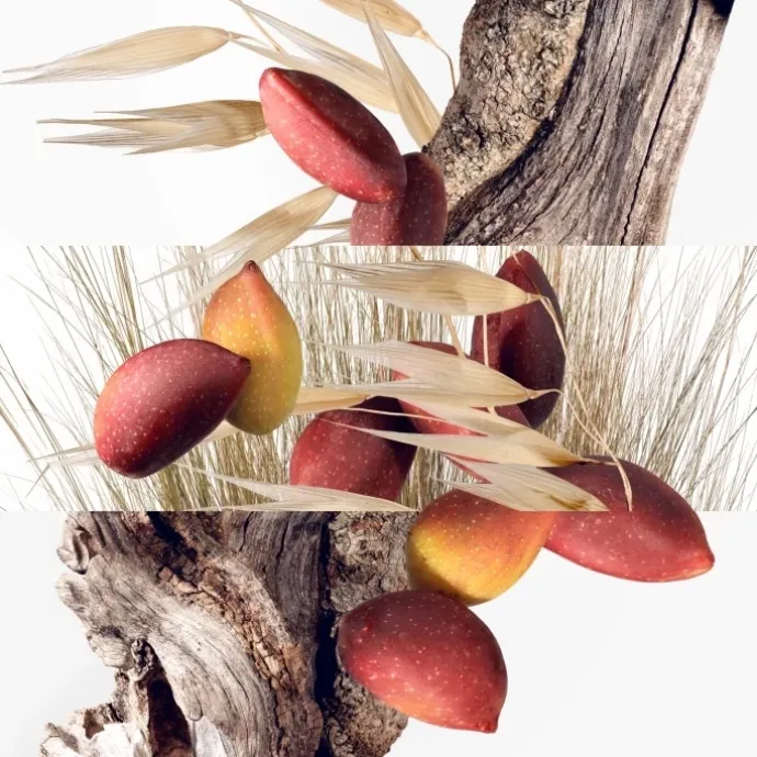 HERMÈSUn Jardin à Cythère Eau de Toilette - Flacon Recharge