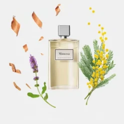 INCENZAMimosa Eau de Toilette