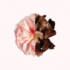 Irresistible Givenchy Eau de Parfum