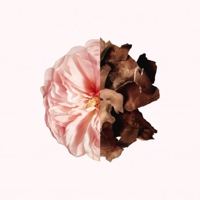 Irresistible Givenchy Parfum Cheveux