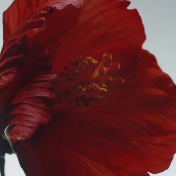 Jo MaloneRed Hibiscus Cologne Intense
