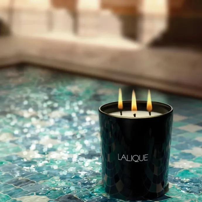 LaliqueNéroli Casablanca Maroc Bougie Parfumée